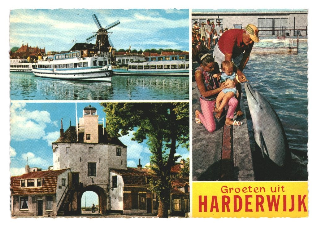 984142 Harderwijk 1973 Gld Gelopen met Postzege
