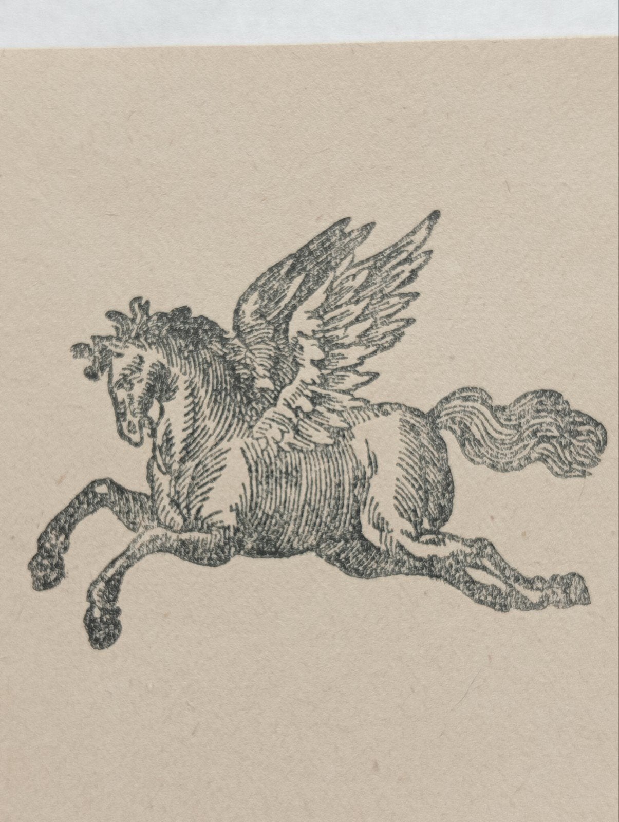 Albrecht Dürer Pegasus exlibris, Ophalen of Verzenden