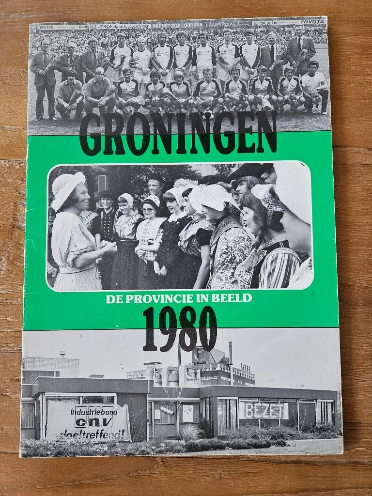 Groningen De Provincie in beeld 1980, Folke Meijer en Martin Scholma, Ophalen of Verzenden, 20e eeuw of later, Gelezen