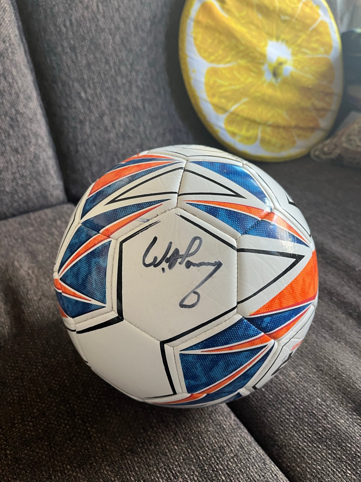 Gesigneerde voetbal van Willem van Hanegem, Ophalen, Zo goed als nieuw, Bal