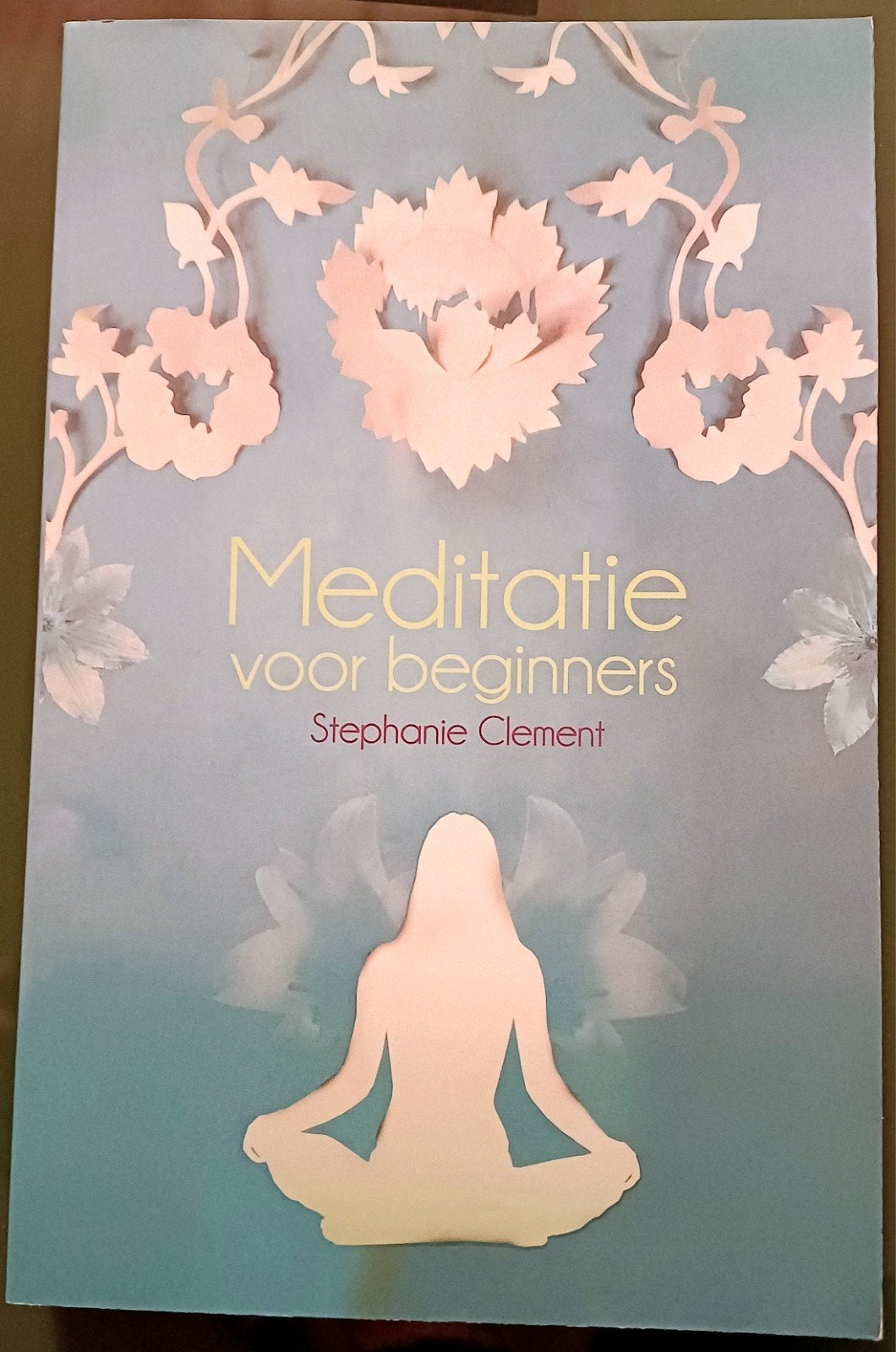 Nieuw Meditatie voor beginners., Ophalen, Nieuw, Meditatie of Yoga, Instructieboek
