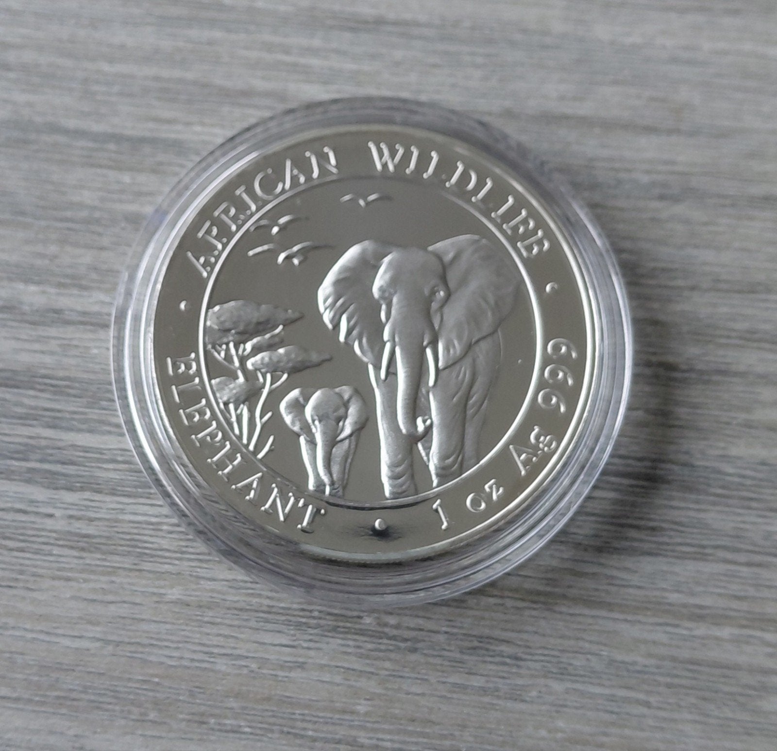 2015 Somalia Elephant Olifant 1 oz .999 Zilver, Ophalen of Verzenden, Zilver