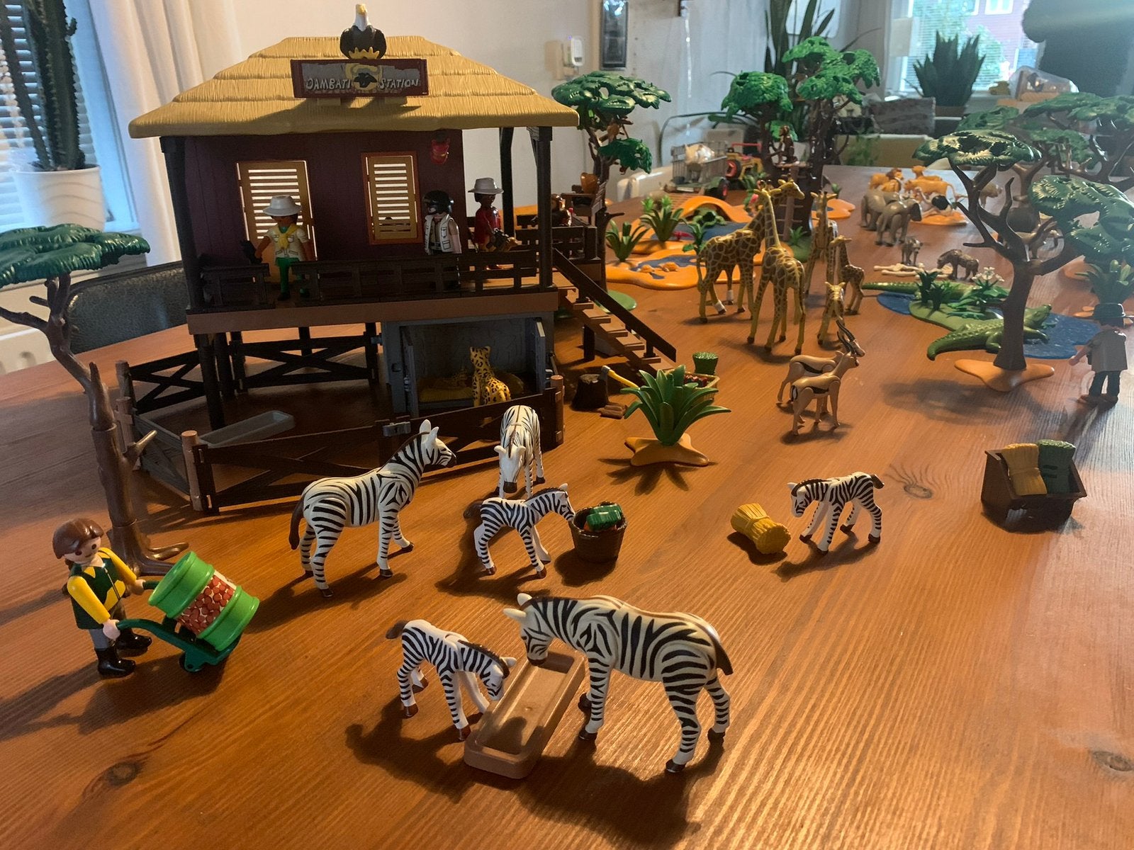 Playmobil safari 4826, Ophalen of Verzenden, Zo goed als nieuw, Complete set