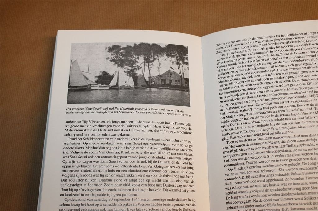 De Grote Waanzin — Hellum in de Eerste Wereldoorlog, Boeken, Ophalen of Verzenden, Gelezen
