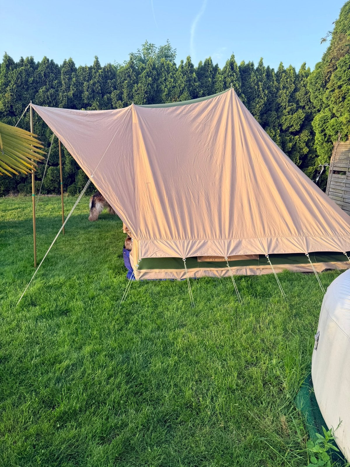 Vrijbuiter Japio katoenen tent, Ophalen, Gebruikt, Tot en met 3