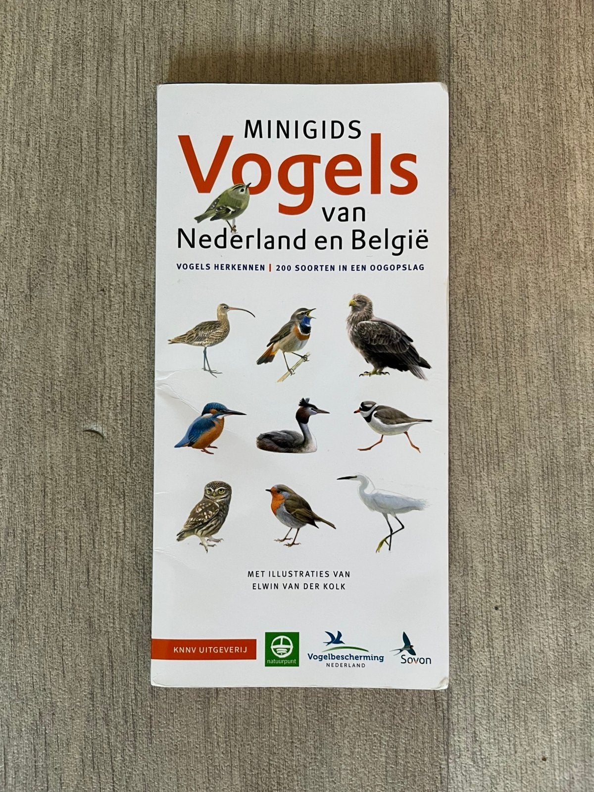 Minigids Vogels van Nederland en België – KNNV Uitgeverij., Ophalen of Verzenden, Zo goed als nieuw, Vogels