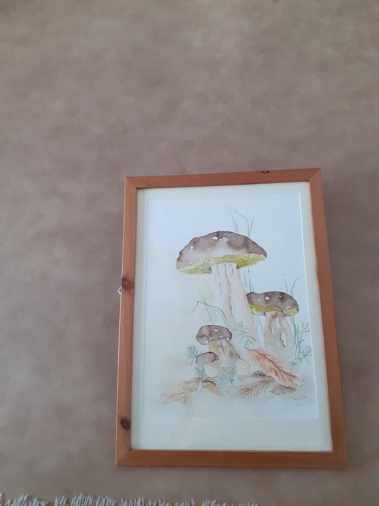 Aquarel schilderij., Ophalen, Hout, 50 tot 75 cm, 50 tot 75 cm