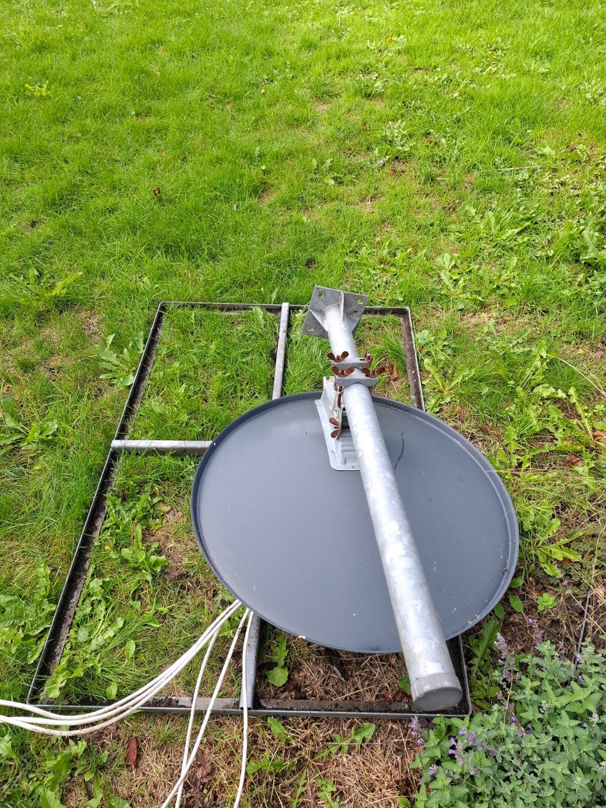 Schotel, Ophalen of Verzenden, Zo goed als nieuw, (Schotel)antenne, Overige merken