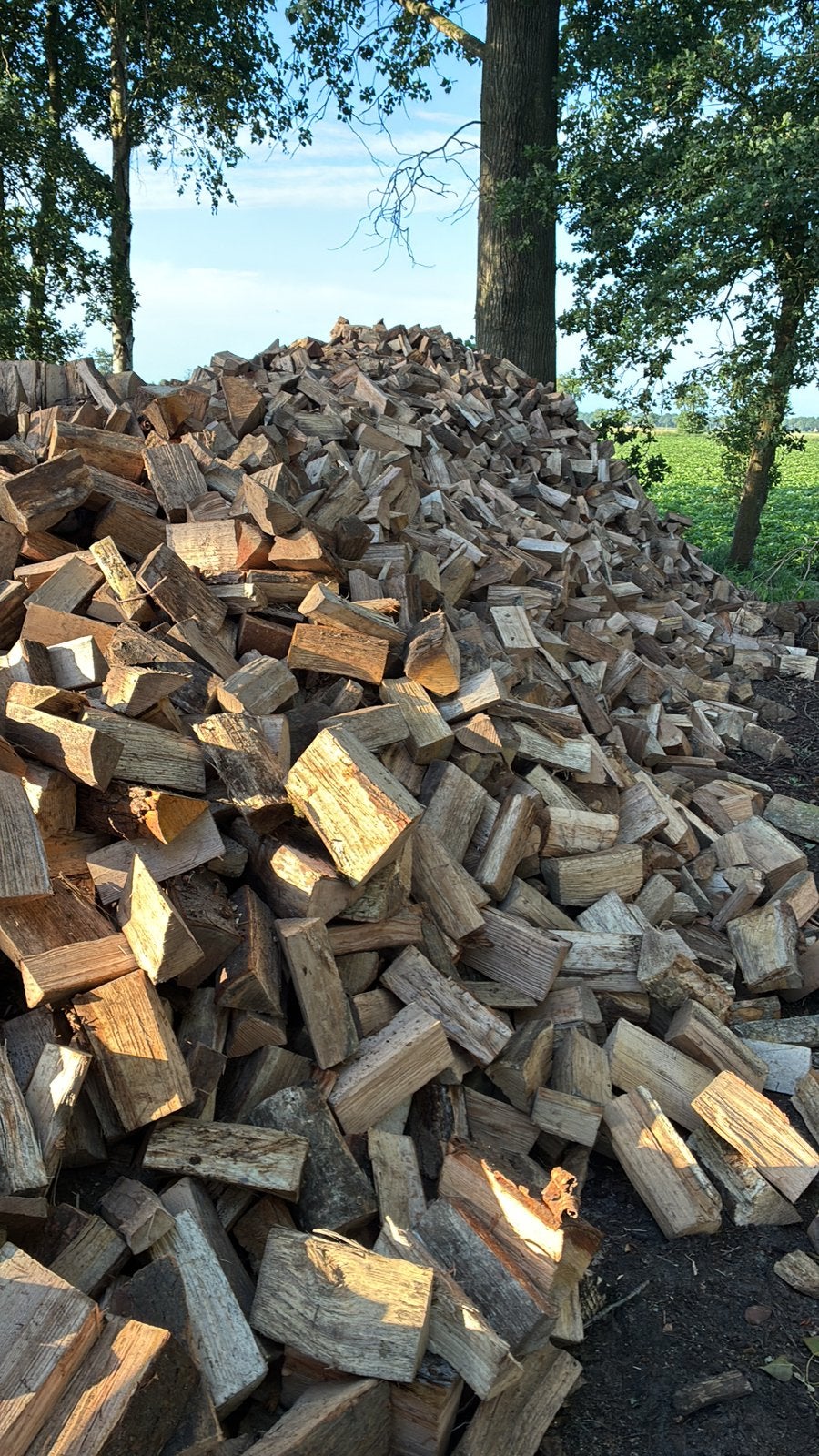 Droog openhaardhout, Tuin en Terras, 6 m³ of meer, Ophalen of Verzenden, Blokken