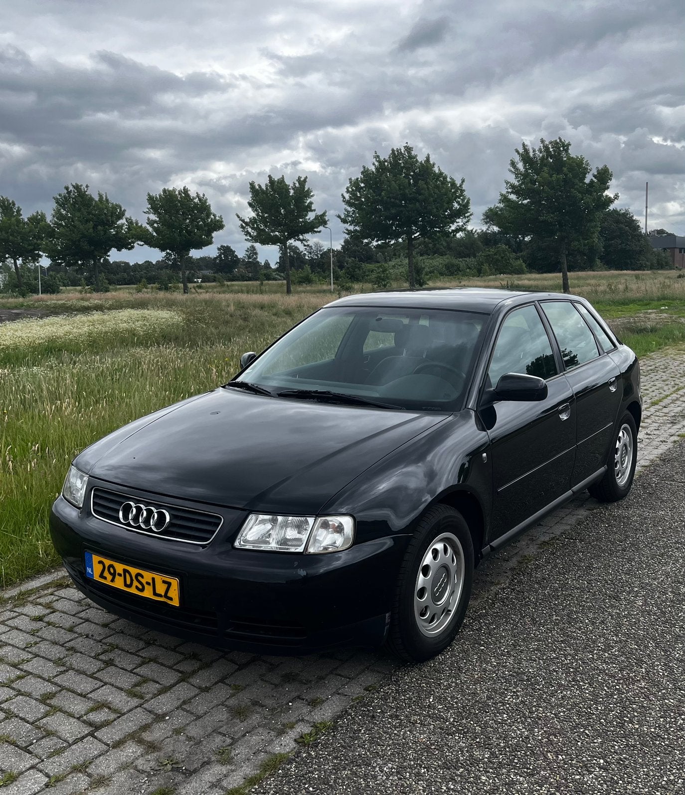 Audi A3 1.6 74KW 1999 Zwart, Stof, USB, 100 pk, 1200 kg