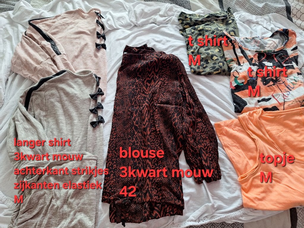 Diverse Shirts, Ophalen of Verzenden, Gedragen, Overige kleuren, Korte mouw