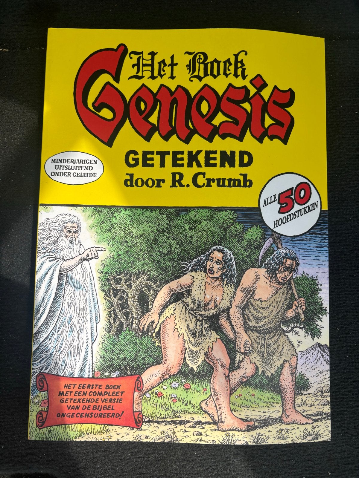 Het Boek Genesis getekend door R. Crumb - Ongecensureerd, Ophalen, Zo goed als nieuw, Christendom | Protestants