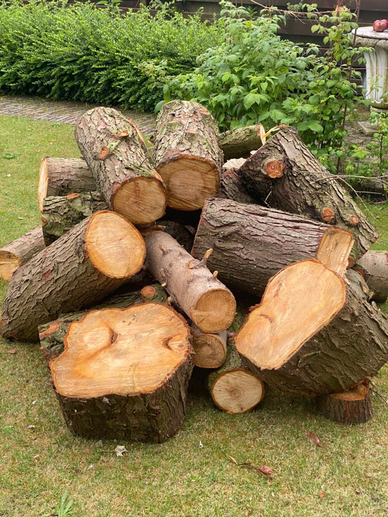 Recent gezaagd haardhout 2 kuub spar, Ophalen, Overige houtsoorten, Stammen