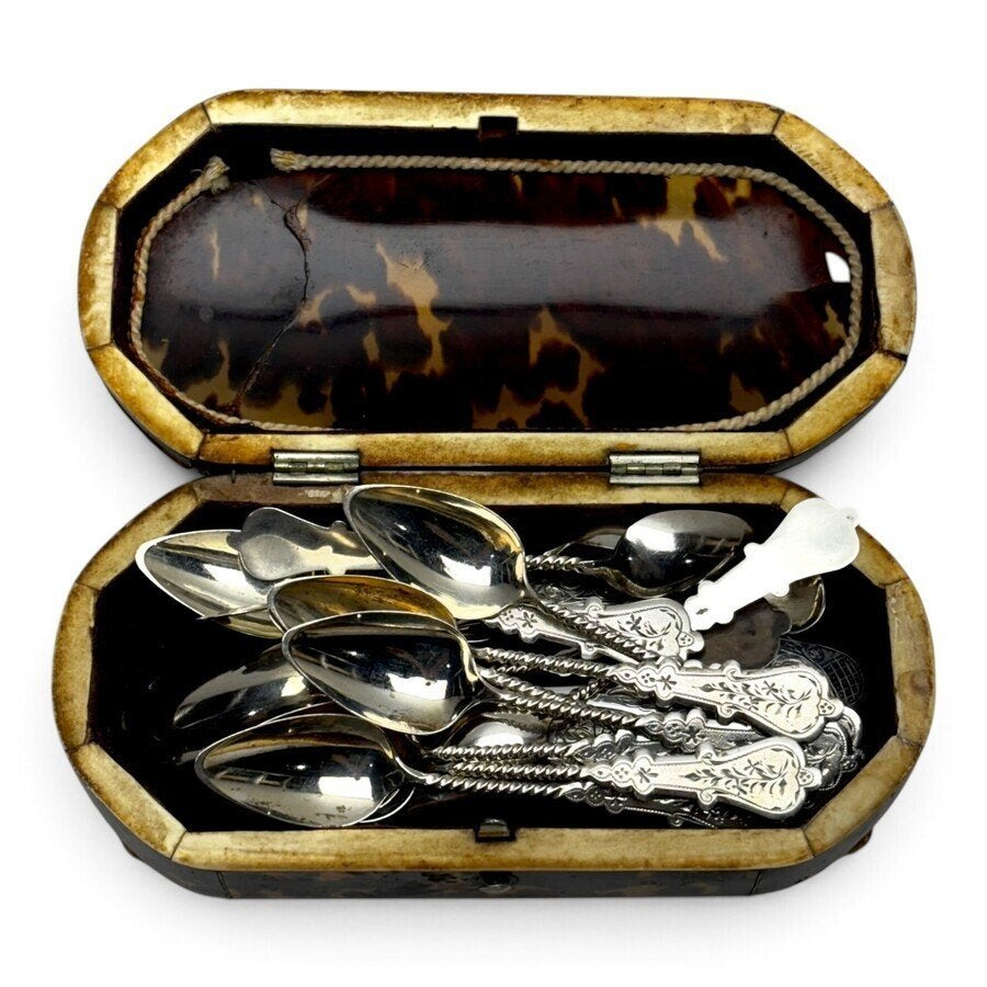 Schildpad doosje met schepwerk H Ellens Oving Sr 1833-1871, Ophalen of Verzenden, Zilver