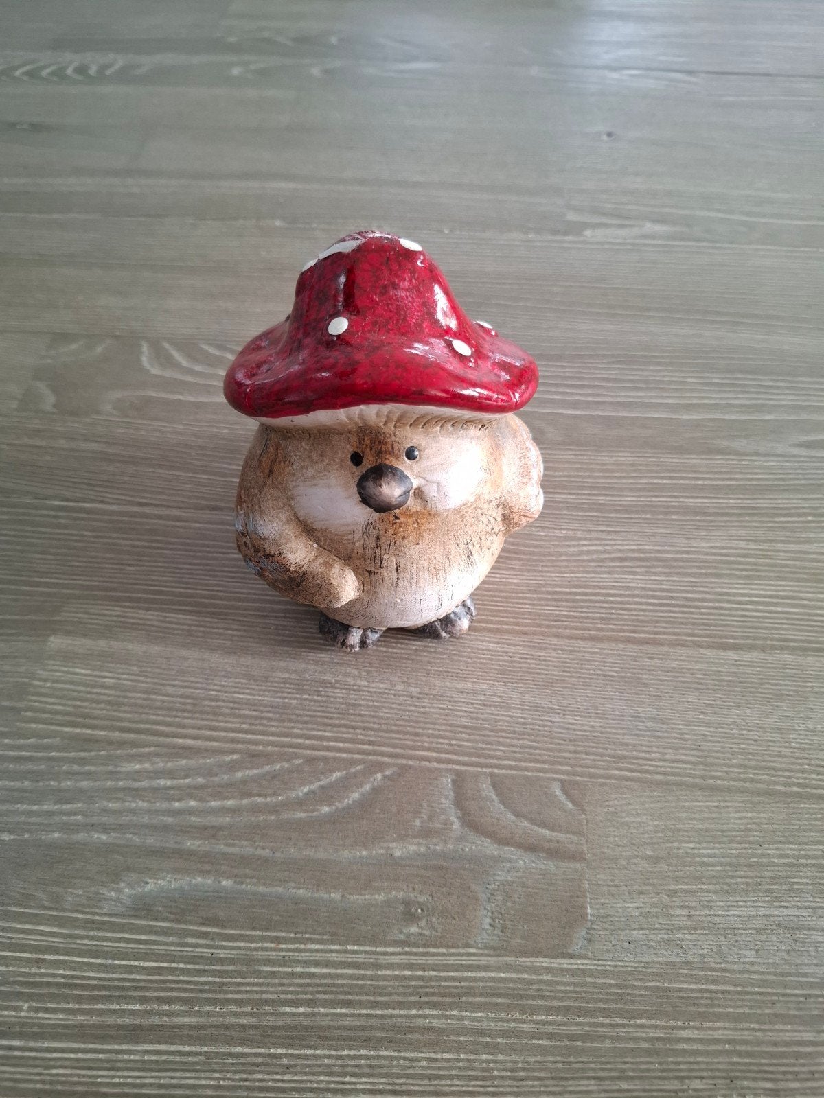 Nieuw Schattig uiltje met paddenstoelhoedje - Intratuin deco, Meerkleurig, Nieuw, Ophalen of Verzenden, Landelijk