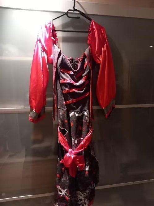 Piraten Jurk Dames, Kleding | Dames, Carnaval, Maat 46/48 (XL) of groter, Ophalen of Verzenden, Zo goed als nieuw