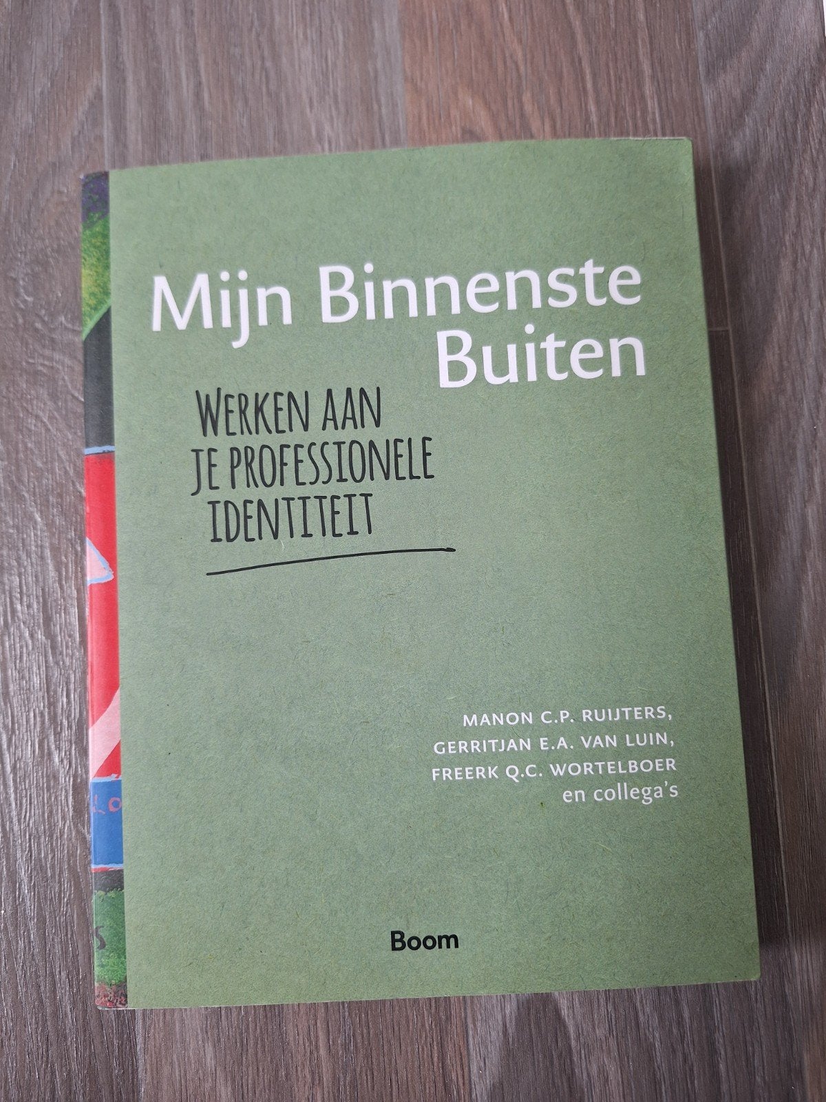 Mijn Binnenste Buiten Werken aan je professionele identite, Gamma, HBO, Ophalen of Verzenden, Manon C.P. Ruijters, Gerritjan E.A. van Luin, Freek