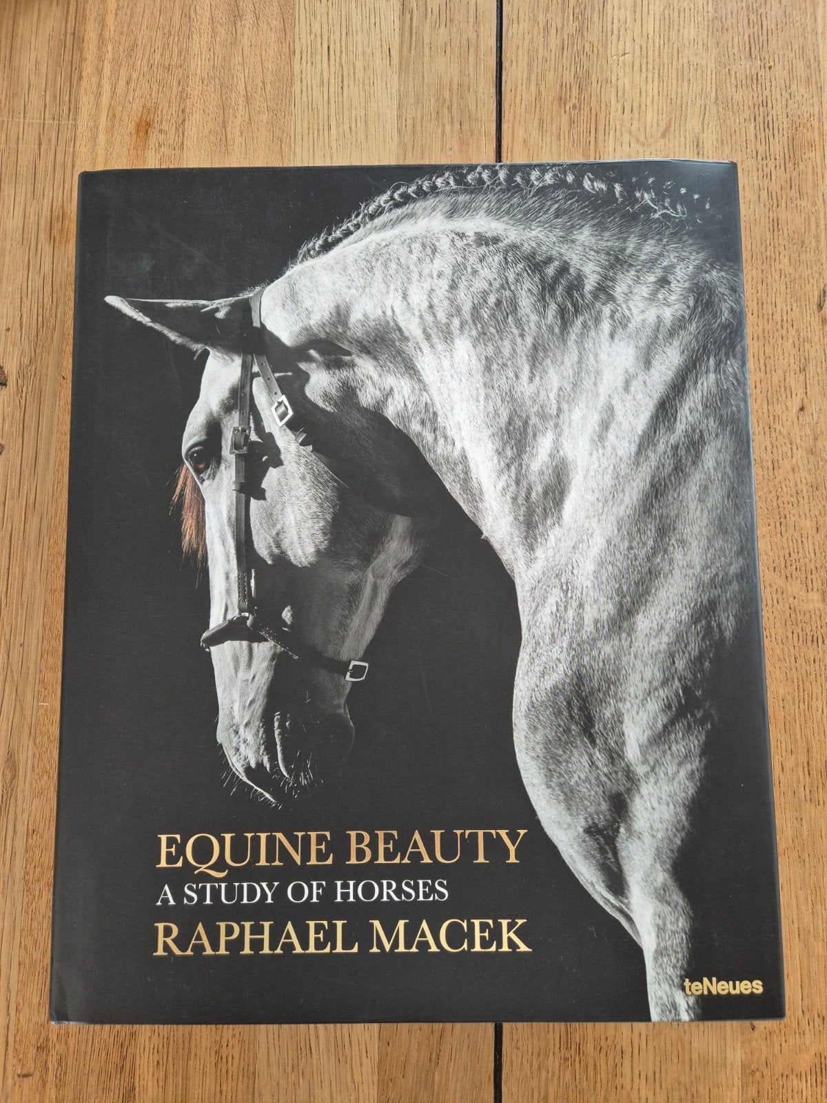 Equine Beauty a study of horses - Raphael Macek

€ 40,00, Ophalen of Verzenden, Zo goed als nieuw, Paarden of Pony's