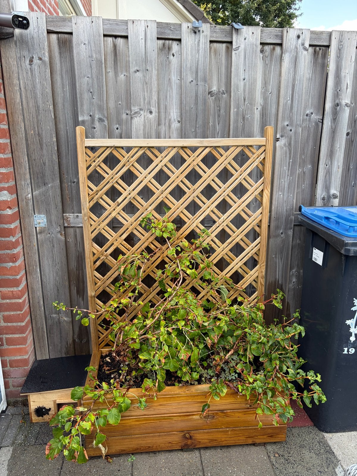 Houten Klimhortensia Plantenbak met Klimrek, Ophalen, Gebruikt, Balkon, 60 tot 100 cm