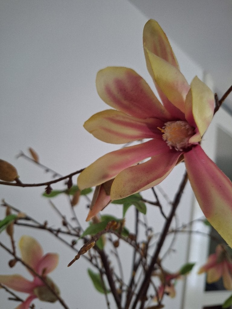 Kunstbloemen lange takken magnolia, Ophalen, Binnen, Gebruikt, Roze