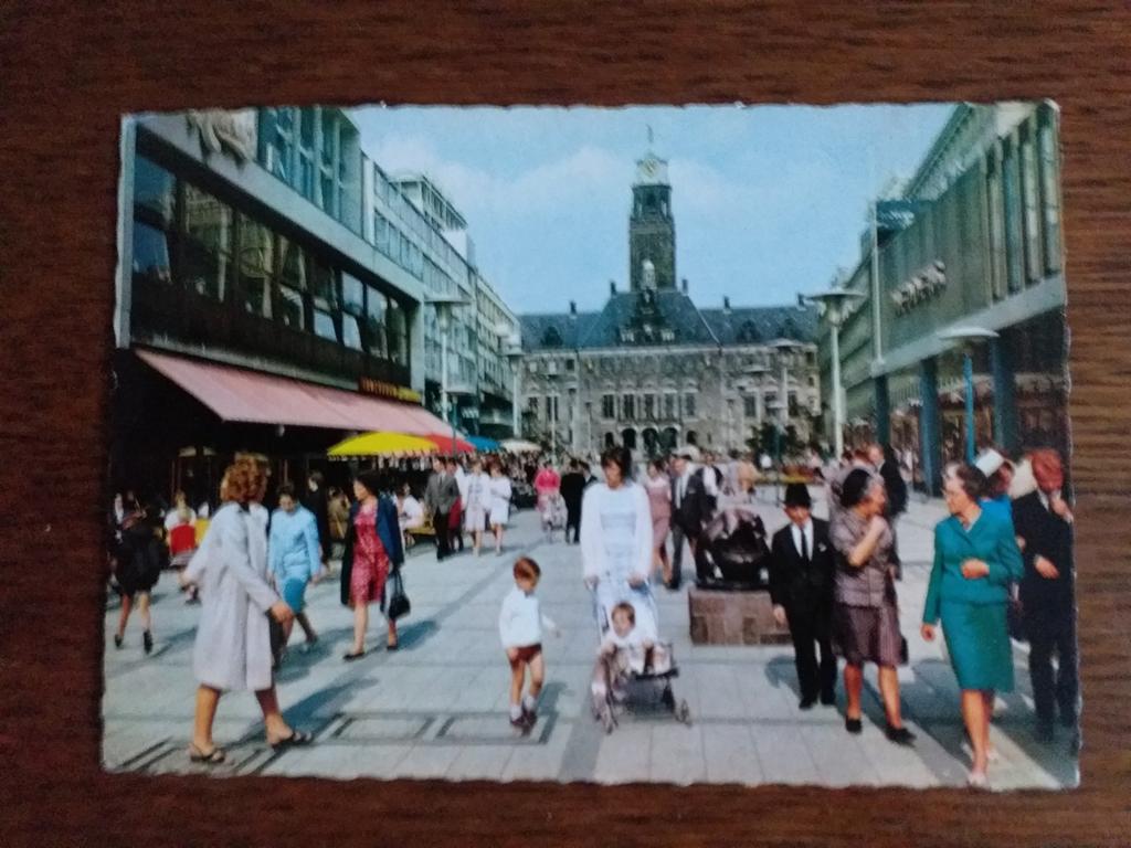 Rotterdam  - Stadhuisplein met beertjes, Verzenden, Gelopen, Zuid-Holland