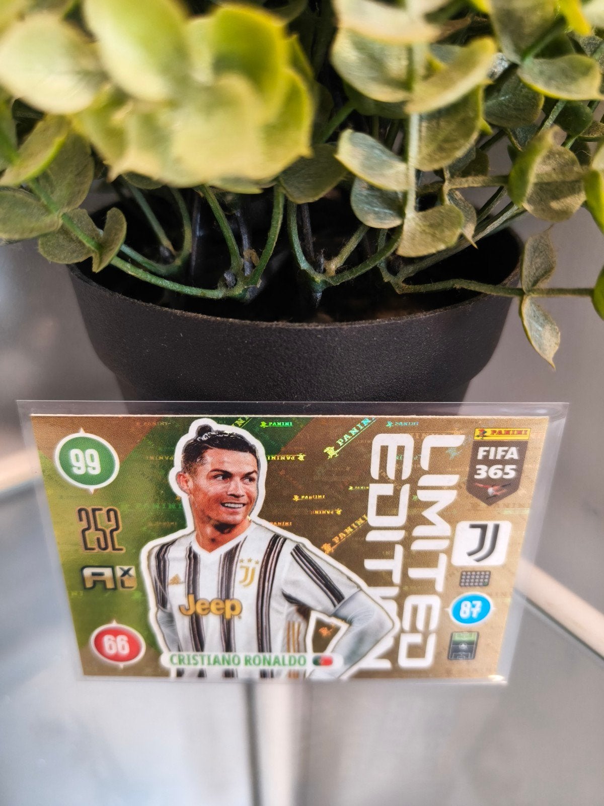 Cristiano Ronaldo limited edition Juventus, Ophalen of Verzenden, Nieuw