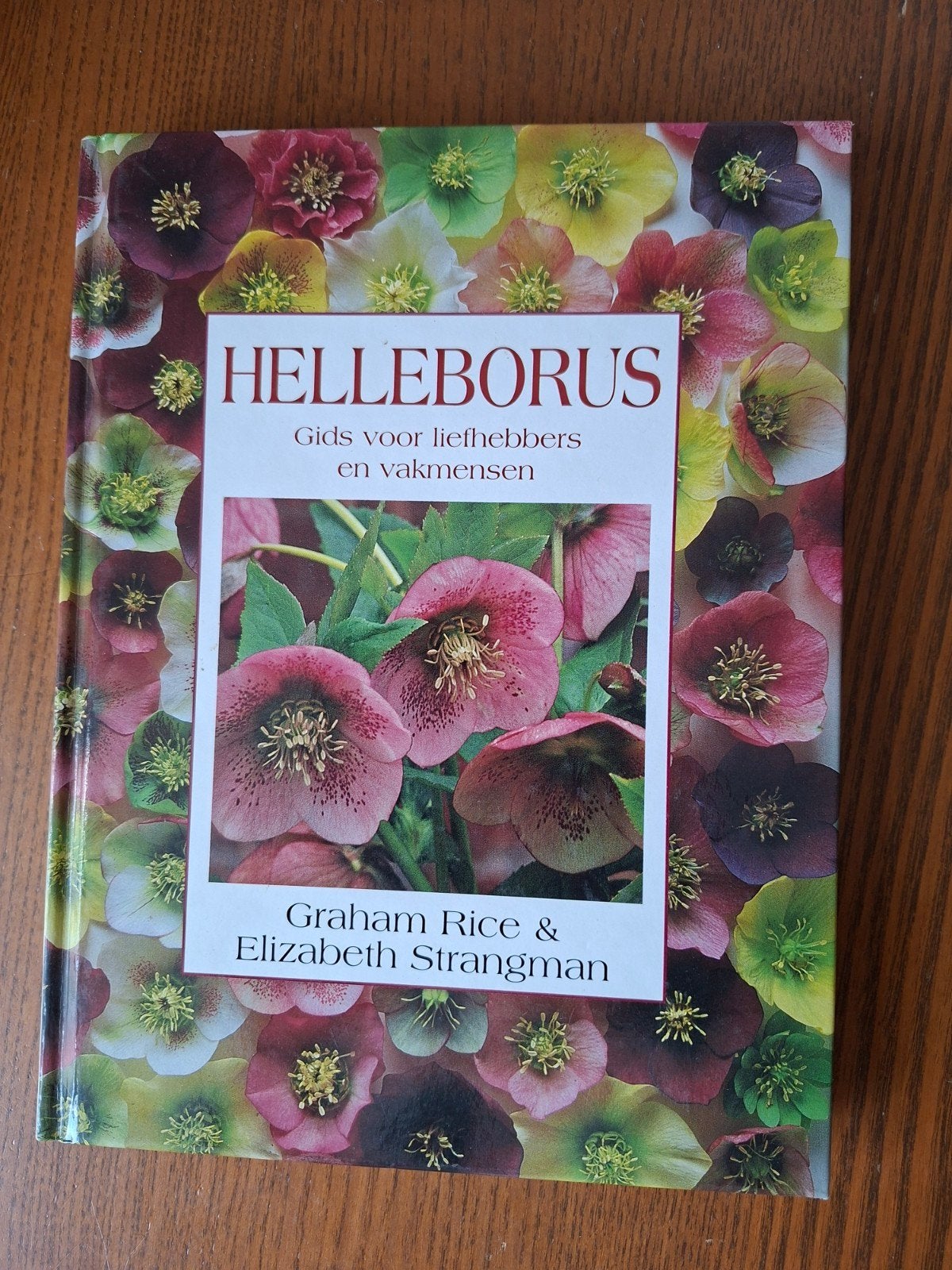 Helleborus: Gids voor liefhebbers en vakmensen, Boeken, Ophalen of Verzenden, Nieuw, Graham Rice & Elizabeth Strangman, Tuinieren en Tuinplanten