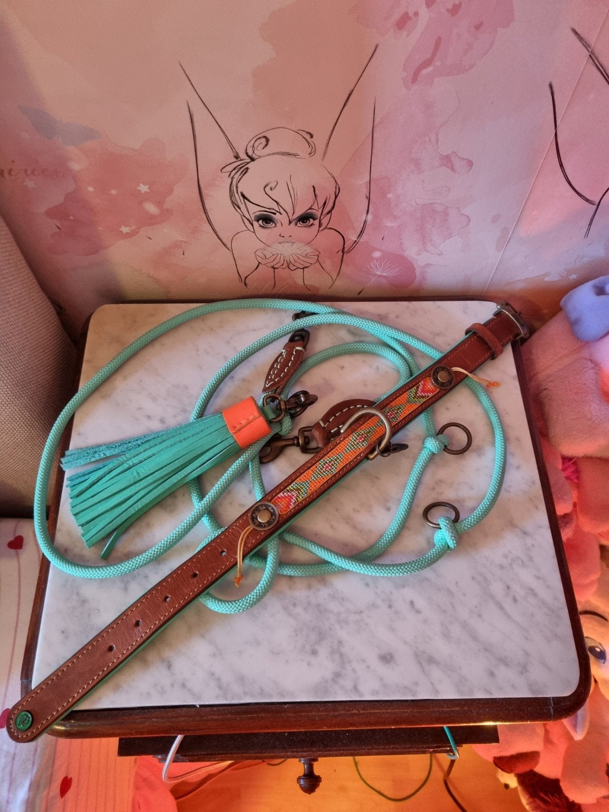 halsband plus riem nooit gebruikt, Ophalen of Verzenden, Nieuw