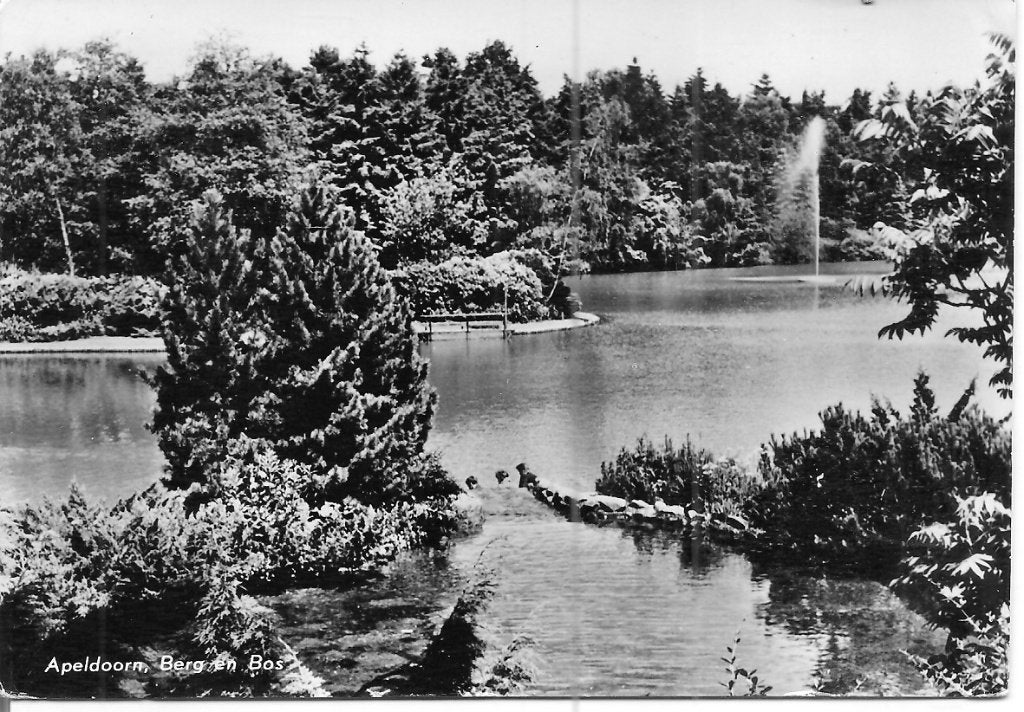 Oude ansichtkaart Apeldoorn, Berg en Bos - Met postzegel, Ophalen of Verzenden, 1960 tot 1980, Gelopen, Gelderland