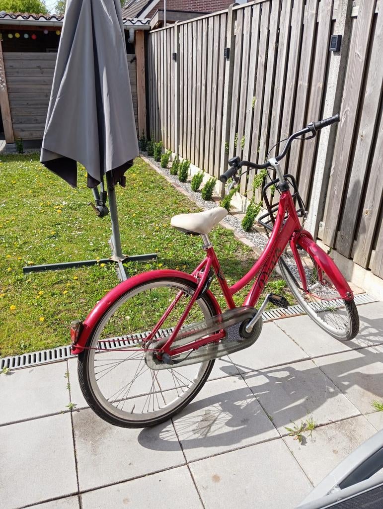 Leuke rode Batavus Diva fiets - Gebruikt, Fietsen en Brommers, Ophalen, Gebruikt, Velgrem, Versnellingen