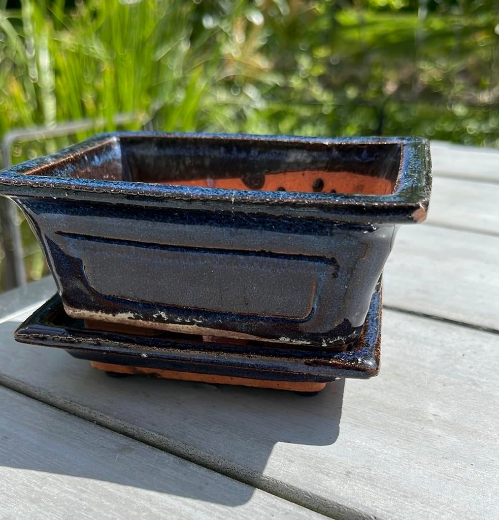 Bonsai bakje klein, blauw glazuur, inclusief onderschotel., Ophalen of Verzenden, Gebruikt, Rechthoekig, Aardewerk
