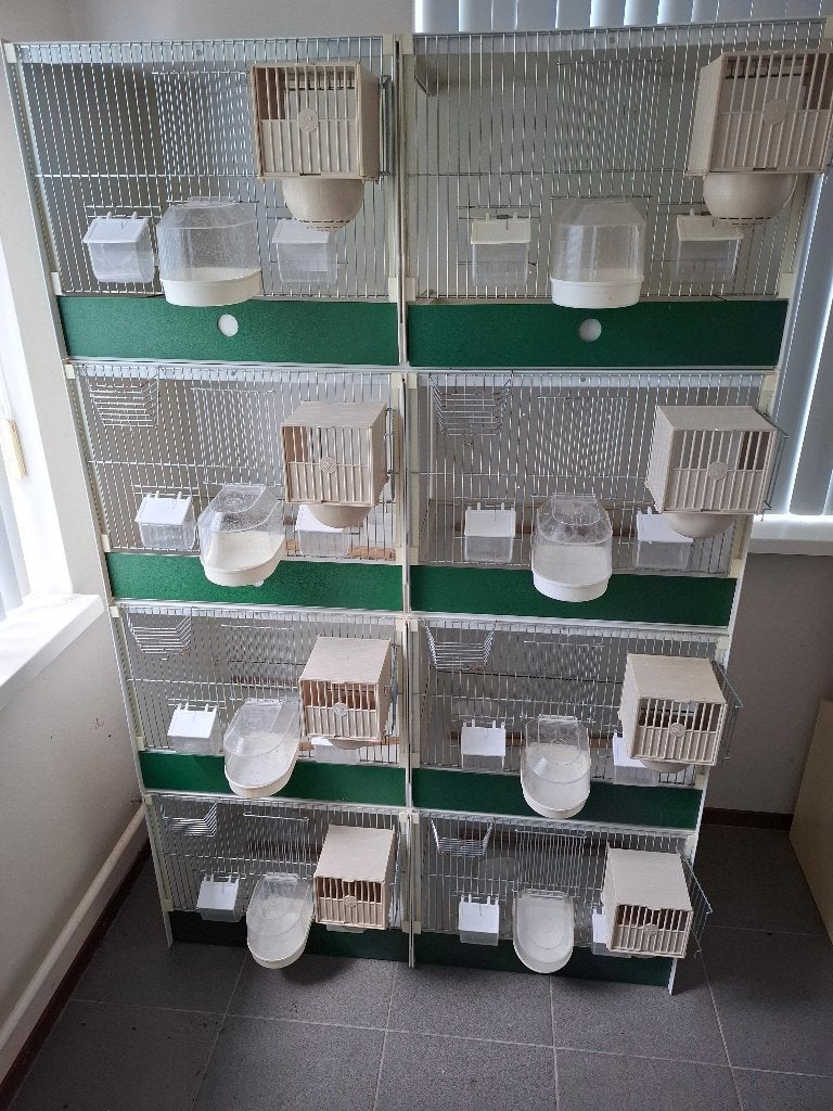 kweekkooien, Ophalen, Gebruikt, Kunststof, Broedkooi of Kweekkooi