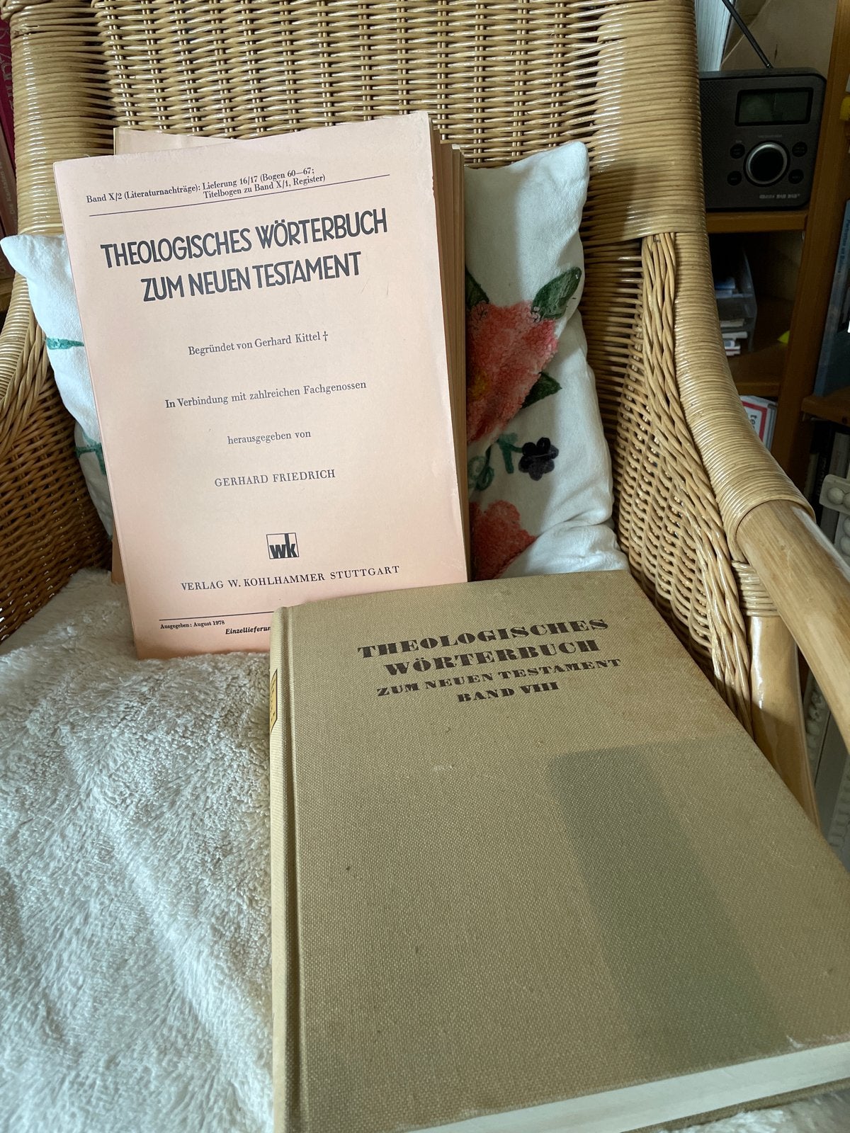 Theologisches Wörterbuch zum Neuen Testament (deel VIII), Ophalen, Gelezen, Christendom | Protestants