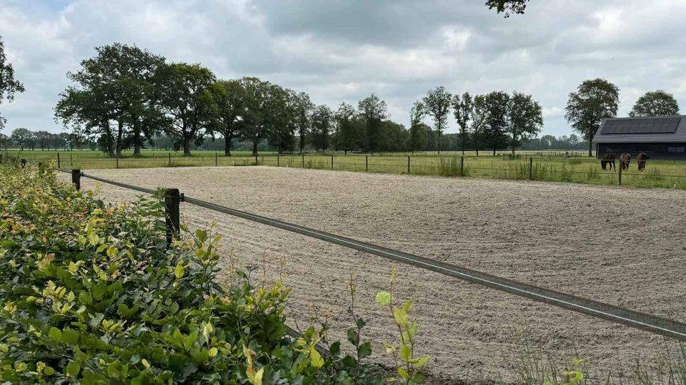 Rustige stal met goede faciliteiten en veel weidegang, Dieren en Toebehoren, Stalling en Weidegang, Weidegang, 1 paard of pony
