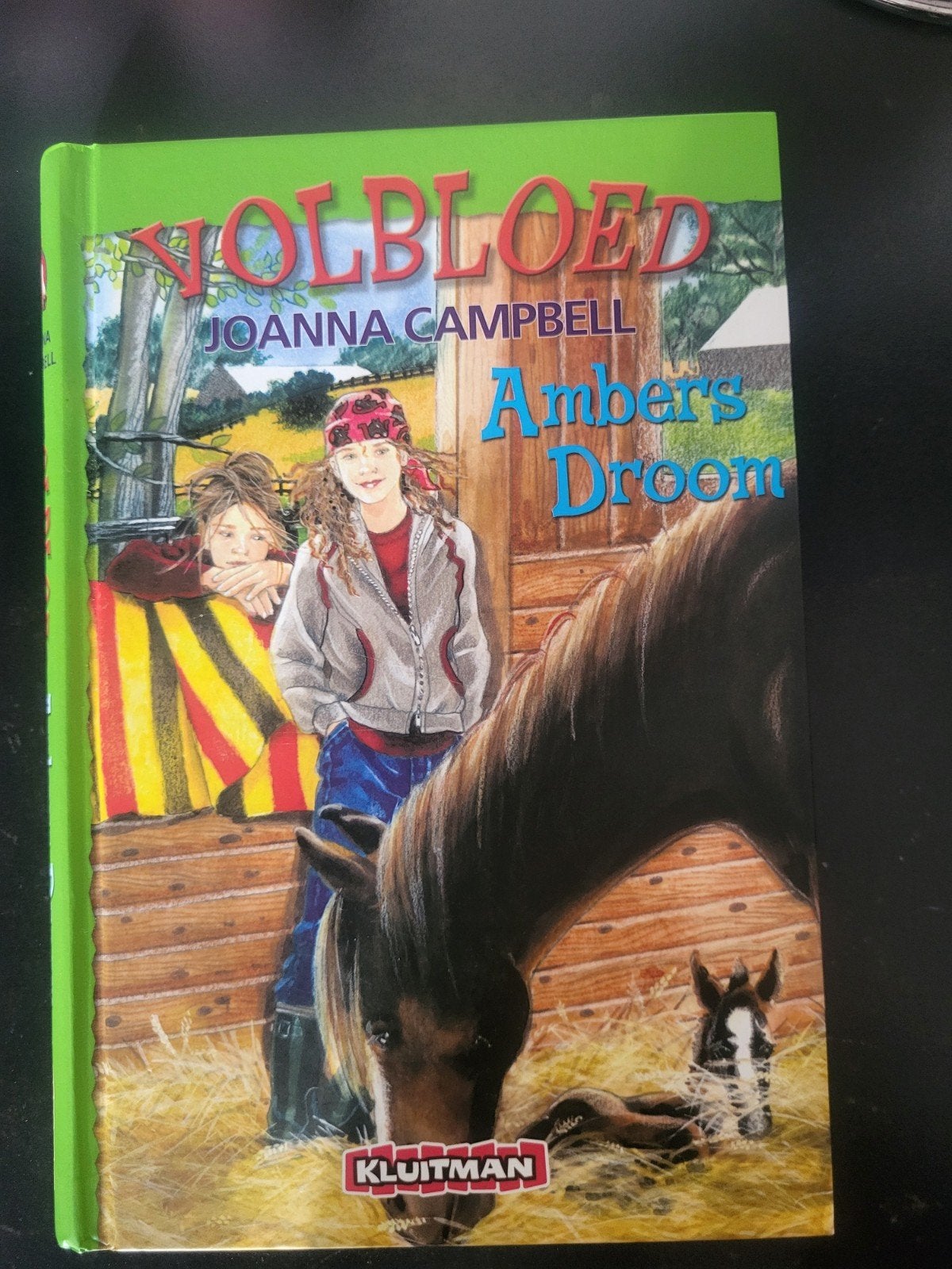 Joanna Campbell - Ambers droom, Ophalen of Verzenden, Zo goed als nieuw, Fictie, Joanna Campbell