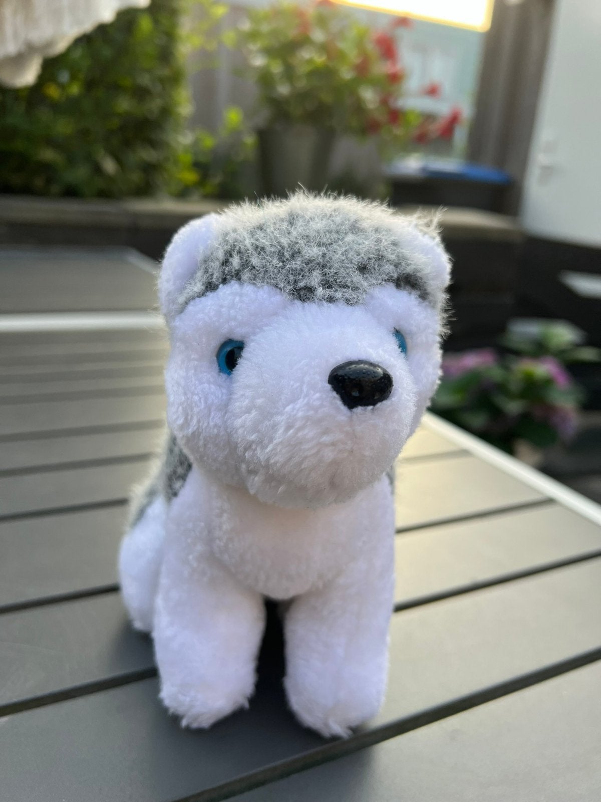 Husky hond knuffel grijs wit, Ophalen of Verzenden, Zo goed als nieuw, Grijs, Hond