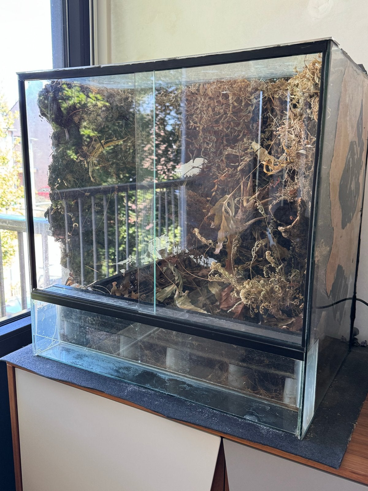 Terrarium/paludarium/vivarium opknapper, Dieren en Toebehoren, Reptielen en Amfibieën | Toebehoren, Ophalen, Gebruikt, Terrarium of Paludarium