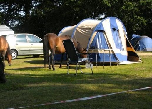Columbus 3 HF (Vrijbuiter) tent met technisch ademend katoen, Ophalen, Gebruikt, Tot en met 3