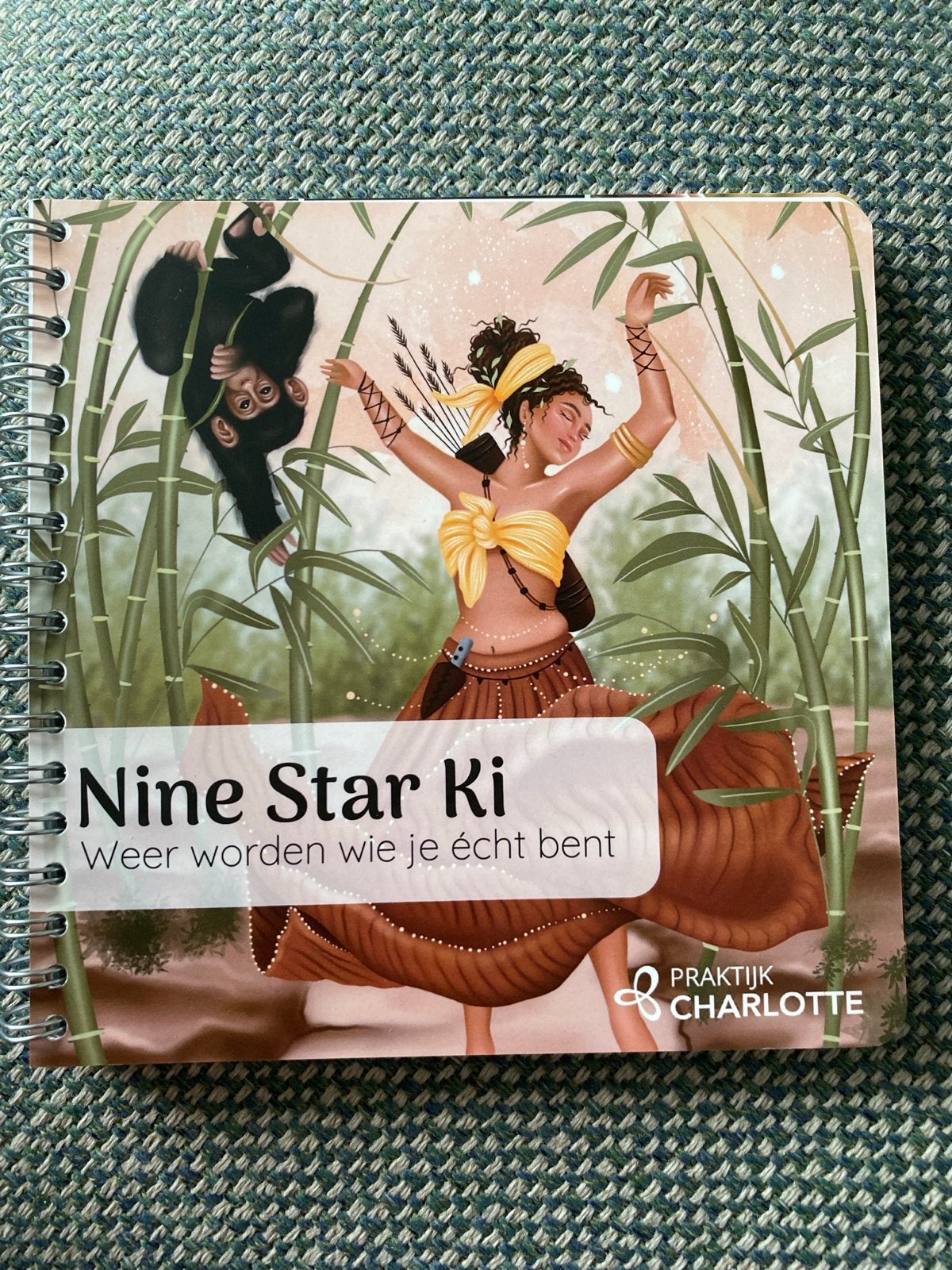 Nine Star Ki boekje van Praktijk Charlotte, Ophalen, Zo goed als nieuw, Astrologie, Achtergrond en Informatie