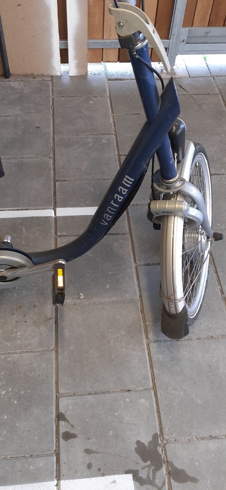 Van Raam, Fietsen en Brommers, Fietsen | Driewielfietsen, Ophalen