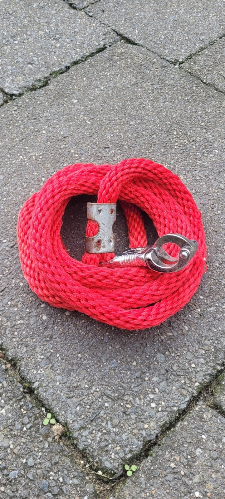 Halstertouw rood paard/ pony, Gebruikt, Overige disciplines, Rood, Overige merken