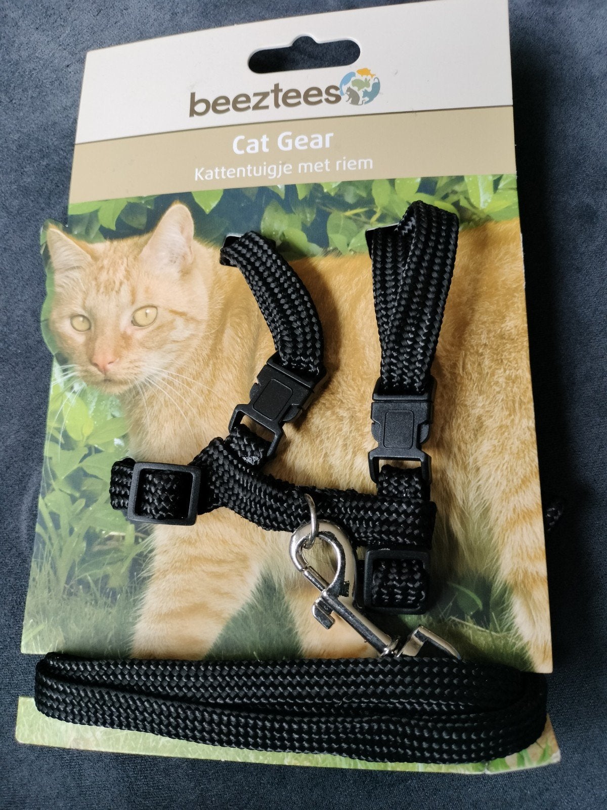 Kattentuigje met riem, Ophalen of Verzenden, Nieuw