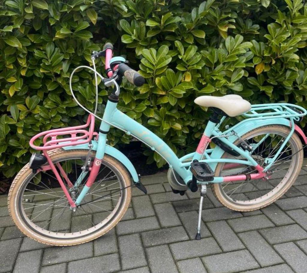 Loekie 20 inch meisjesfiets, Fietsen en Brommers, Fietsen | Meisjes, Zo goed als nieuw, 20 inch, Handrem, Terugtraprem, Ophalen