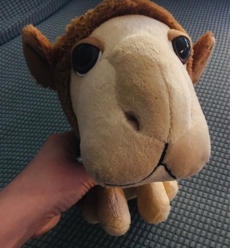 Big headz camel kameel met groot hoofd klein lijf, Ophalen of Verzenden, Zo goed als nieuw, Overige typen, Middelgroot (20 tot 80 cm)