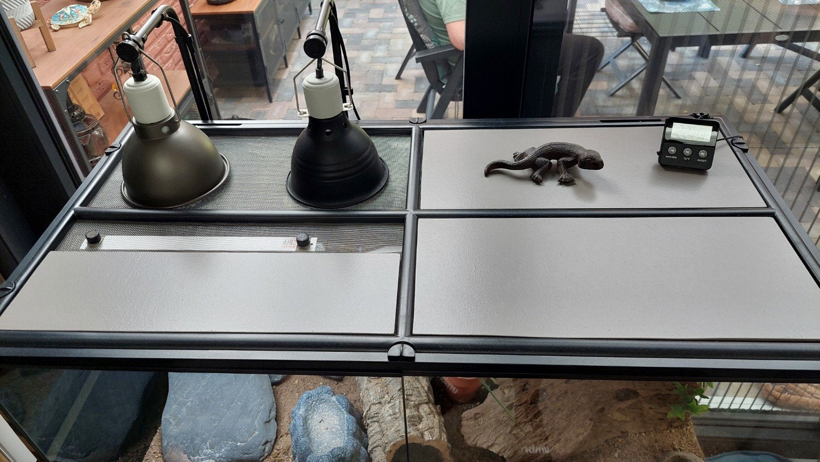 Luipaardgekko met terrarium Leopard Gecko photo 10