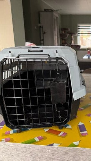Transportbox te koop, Ophalen, Zo goed als nieuw