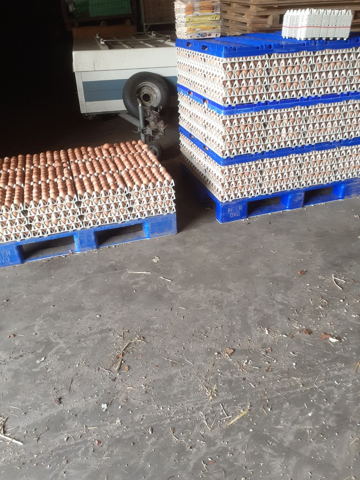 Bruine eieren €2. per 10., Ophalen of Verzenden