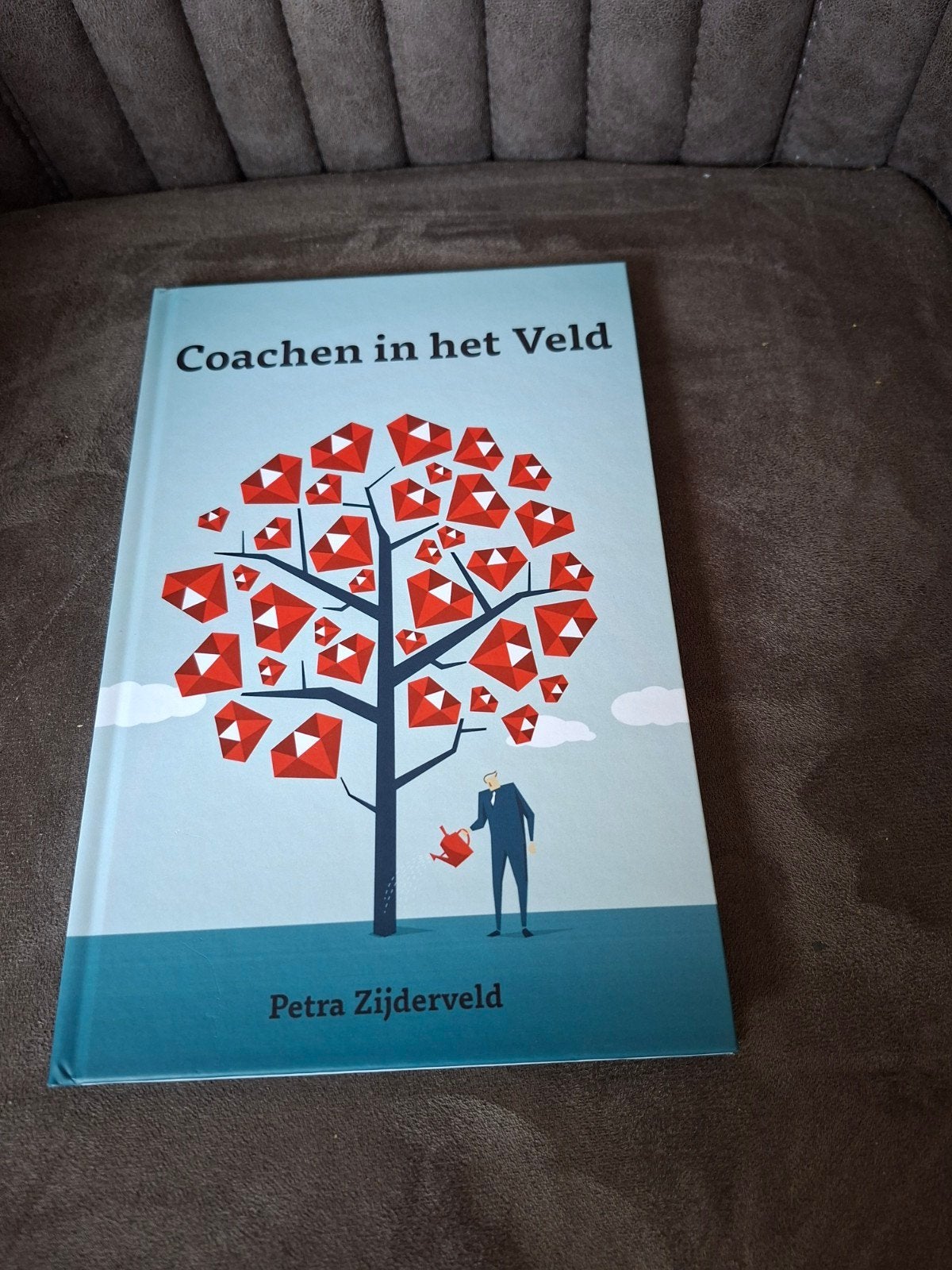 Coachen in het Veld - Petra Zijderveld, Ophalen of Verzenden, Zo goed als nieuw