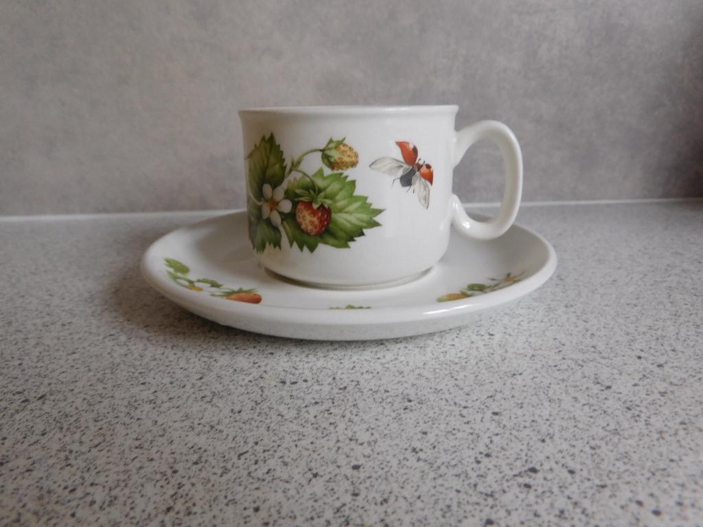 Kop en schotel Bosvruchten Wedgwood Marjolein Bastin, Ophalen of Verzenden, Zo goed als nieuw, Wedgwood, Kop(pen) en/of Schotel(s)
