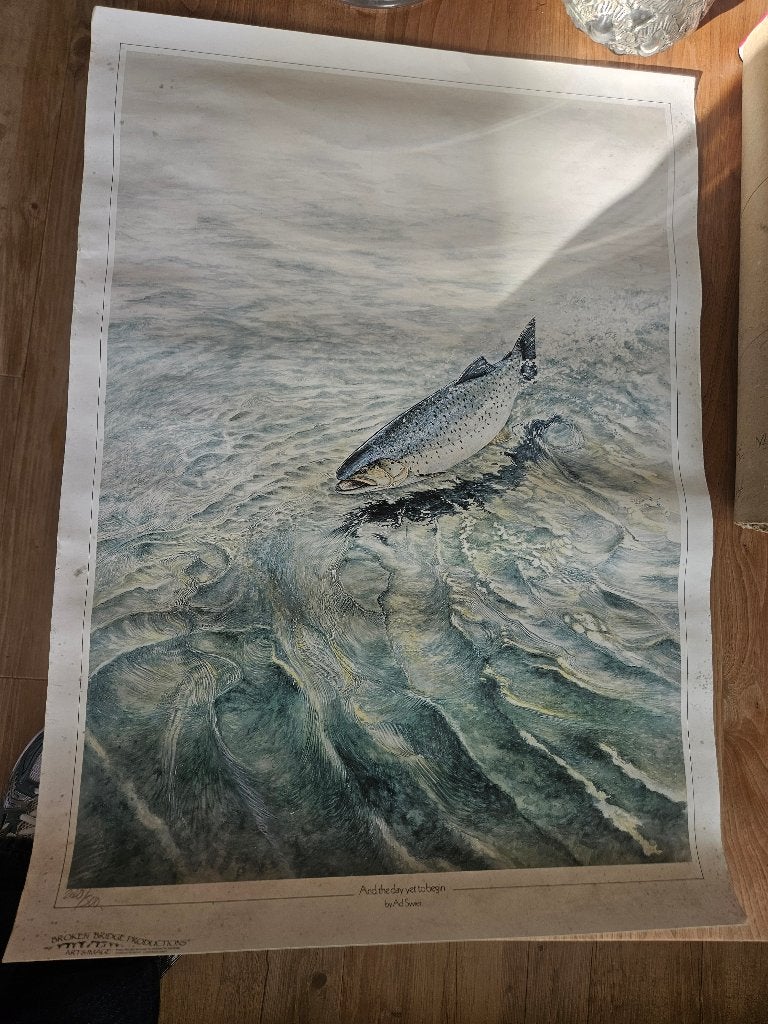 AD SWIER ATLANTIC SALMON, Ophalen, Gebruikt